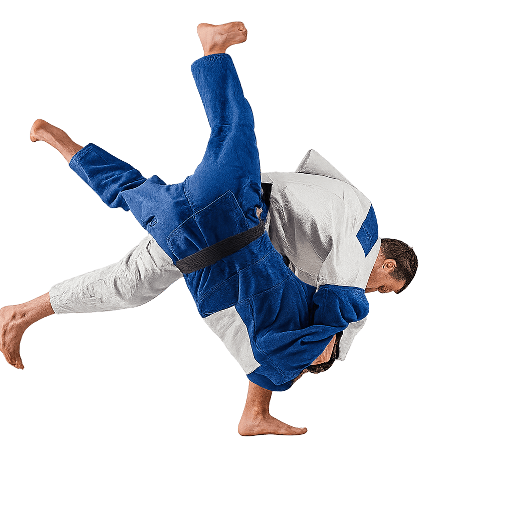 Judo Throw